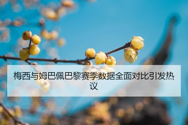 mei-xi-yu-mu-ba-pei-ba-li-sai-ji-shu-ju-quan-mian-dui-bi-yin-fa-re-yi-2-166.jpg