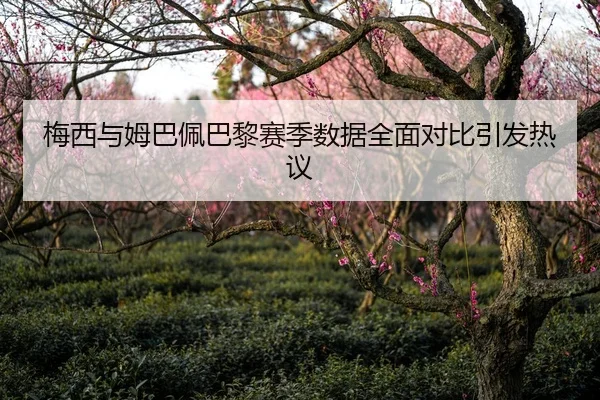 梅西与姆巴佩巴黎赛季数据全面对比引发热议